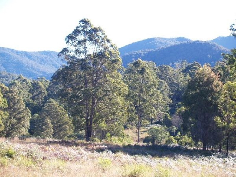 118 Coombes Road, Birdwood NSW 2446