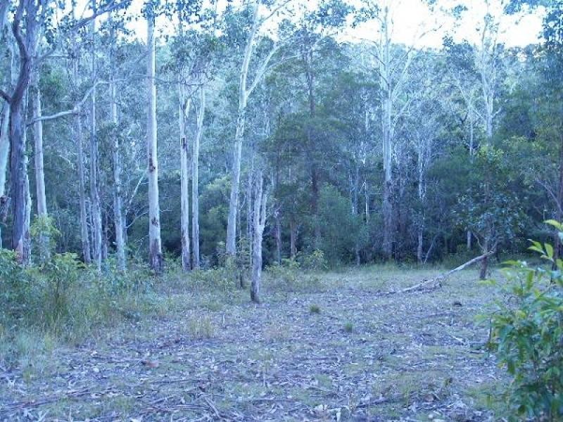 118 Coombes Road, Birdwood NSW 2446