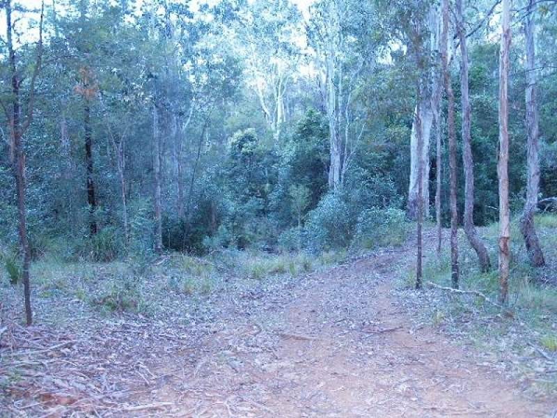 118 Coombes Road, Birdwood NSW 2446