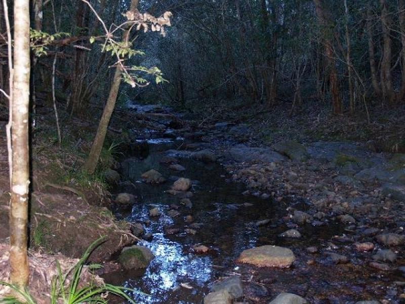 118 Coombes Road, Birdwood NSW 2446