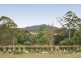126 Old King Creek Road, Wauchope NSW 2446
