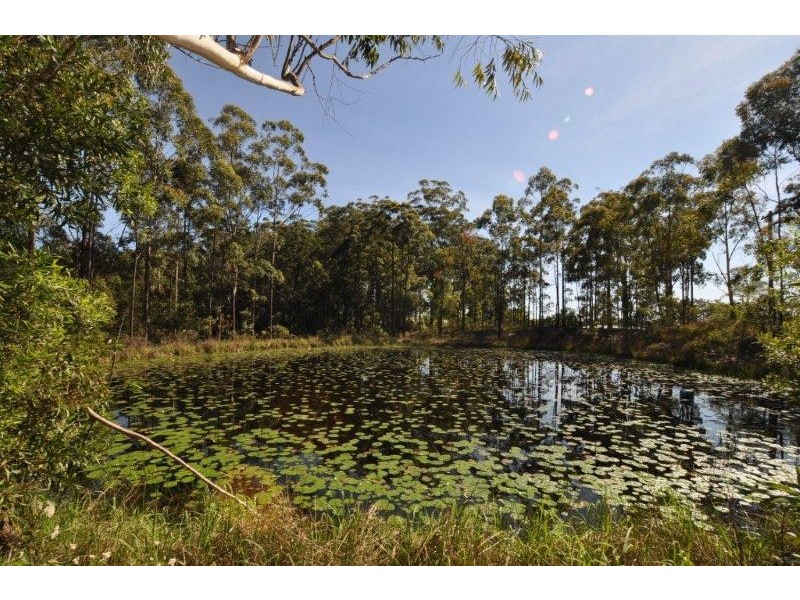 246 Old King Creek Road, Wauchope NSW 2446