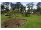 2 Reservoir Place, Wauchope NSW 2446