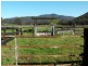 1178 Upper Rollands Plains Rd, Upper Rollands Plains NSW 2441
