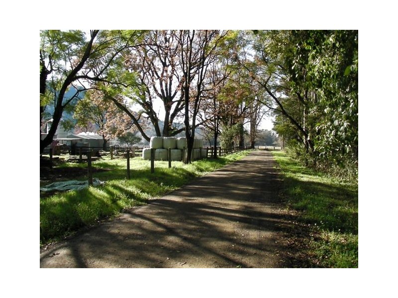 1178 Upper Rollands Plains Rd, Upper Rollands Plains NSW 2441