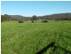 1178 Upper Rollands Plains Rd, Upper Rollands Plains NSW 2441