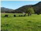 1178 Upper Rollands Plains Rd, Upper Rollands Plains NSW 2441