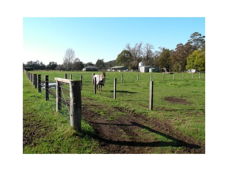 1178 Upper Rollands Plains Rd, Upper Rollands Plains NSW 2441