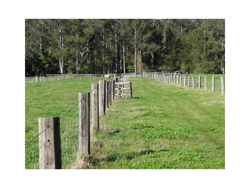 1178 Upper Rollands Plains Rd, Upper Rollands Plains NSW 2441