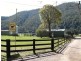 1178 Upper Rollands Plains Rd, Upper Rollands Plains NSW 2441