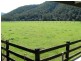 1178 Upper Rollands Plains Rd, Upper Rollands Plains NSW 2441