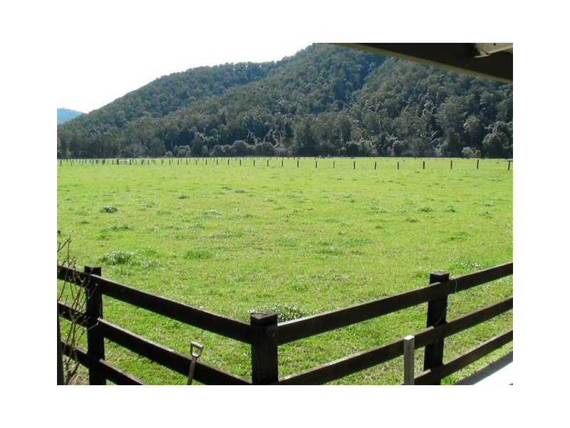 1178 Upper Rollands Plains Rd, Upper Rollands Plains NSW 2441