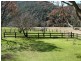 1178 Upper Rollands Plains Rd, Upper Rollands Plains NSW 2441