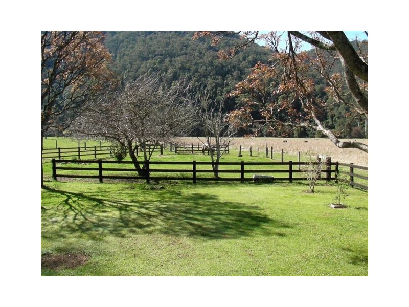 1178 Upper Rollands Plains Rd, Upper Rollands Plains NSW 2441