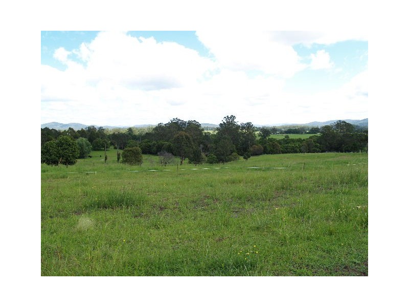 Lot 1, 544 Beechwood Rd, Beechwood NSW 2446