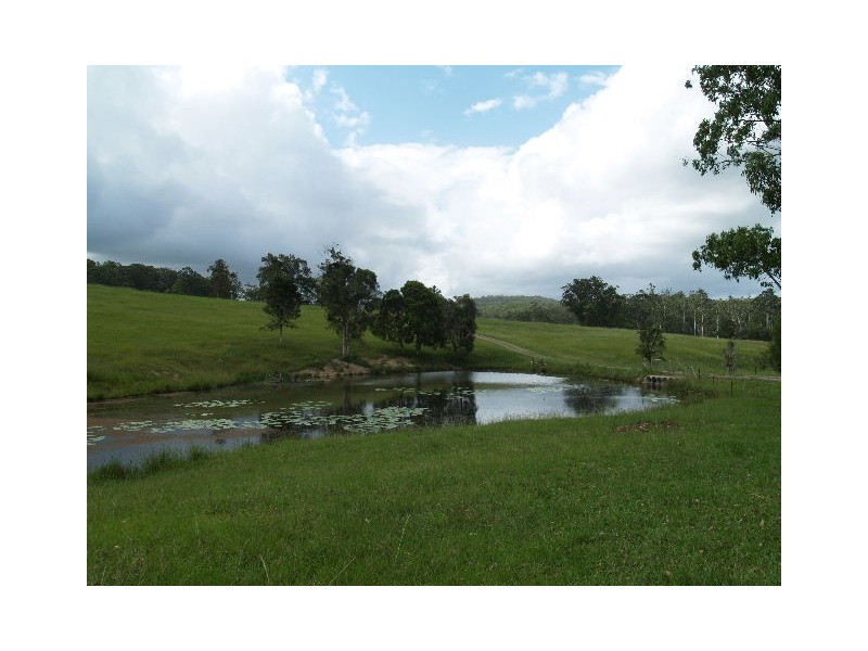 115 West Frazers Creek Rd, Beechwood NSW 2446