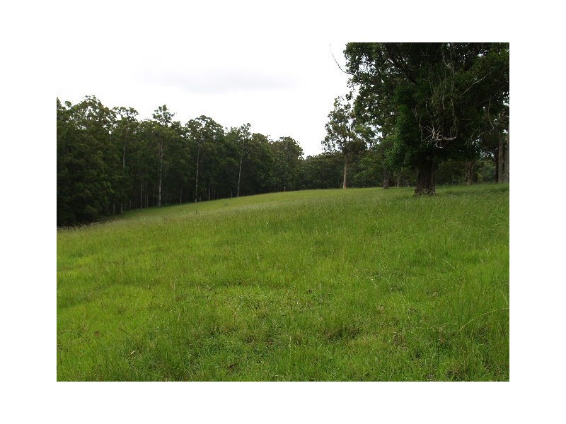 115 West Frazers Creek Rd, Beechwood NSW 2446