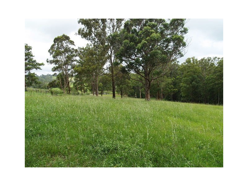 115 West Frazers Creek Rd, Beechwood NSW 2446