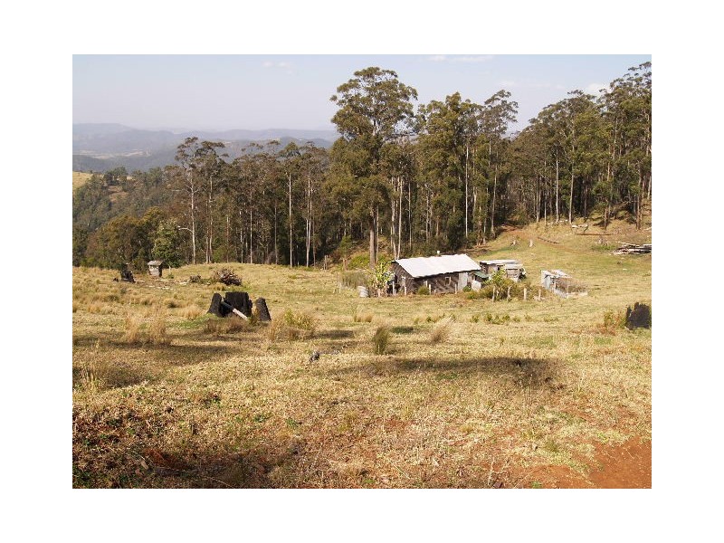 Lot 145 Costigans Road, Yarras NSW 2446