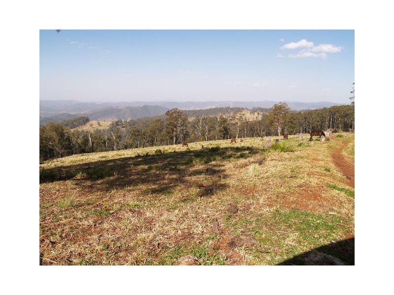 Lot 145 Costigans Road, Yarras NSW 2446