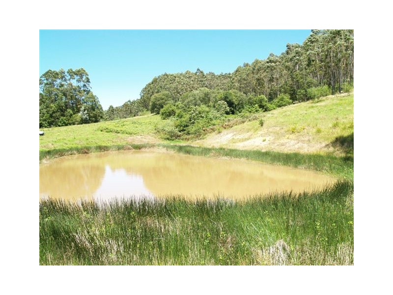 302 Bulli Creek Rd, Byabarra NSW 2446