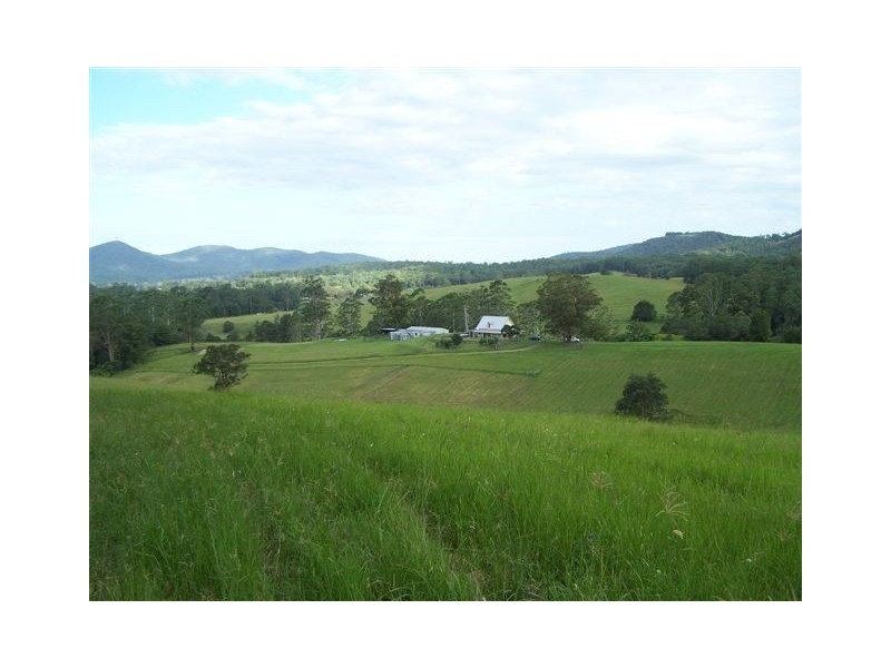 1739 Bellangry Road, Beechwood NSW 2446