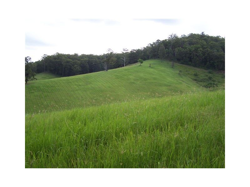 1739 Bellangry Road, Beechwood NSW 2446