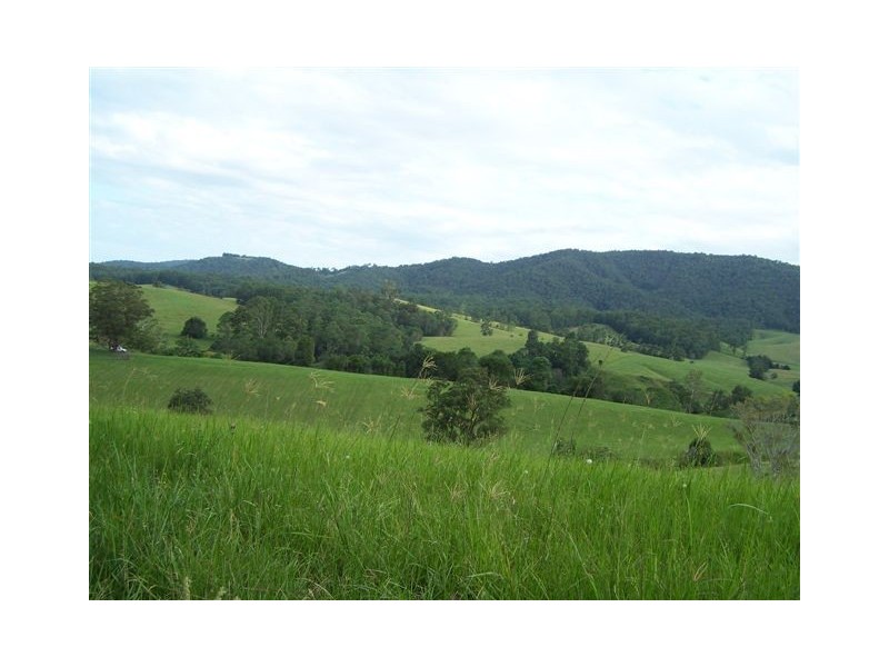 1739 Bellangry Road, Beechwood NSW 2446