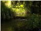 1739 Bellangry Road, Beechwood NSW 2446