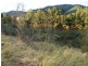 5201 Oxley Highway, Long Flat NSW 2446