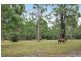 Lot 8 Cadaga Ridge, Wauchope NSW 2446
