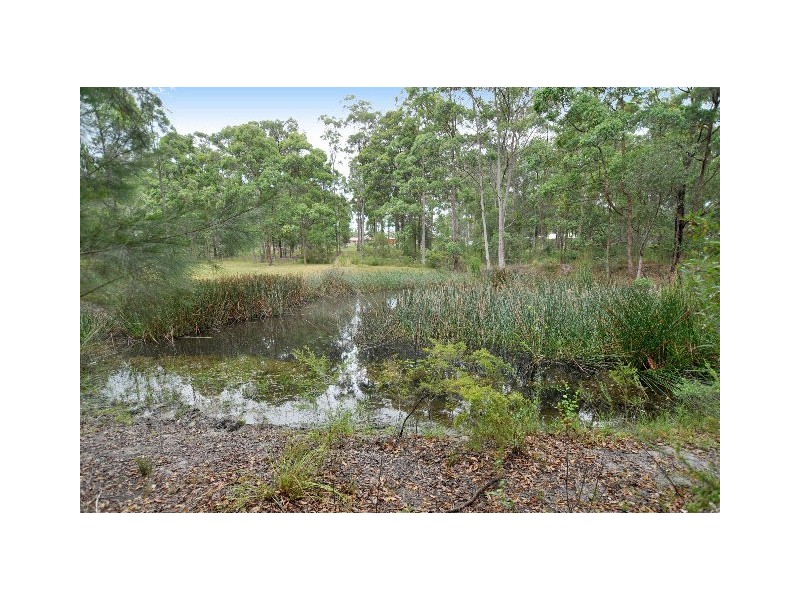 Lot 8 Cadaga Ridge, Wauchope NSW 2446