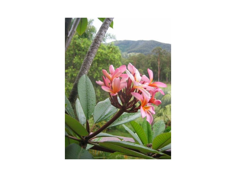 1 Fegans Road, Byabarra NSW 2446