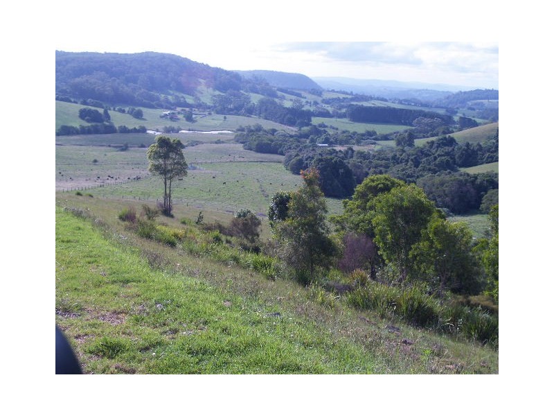 Lot 493 Latimores Road, Comboyne NSW 2429