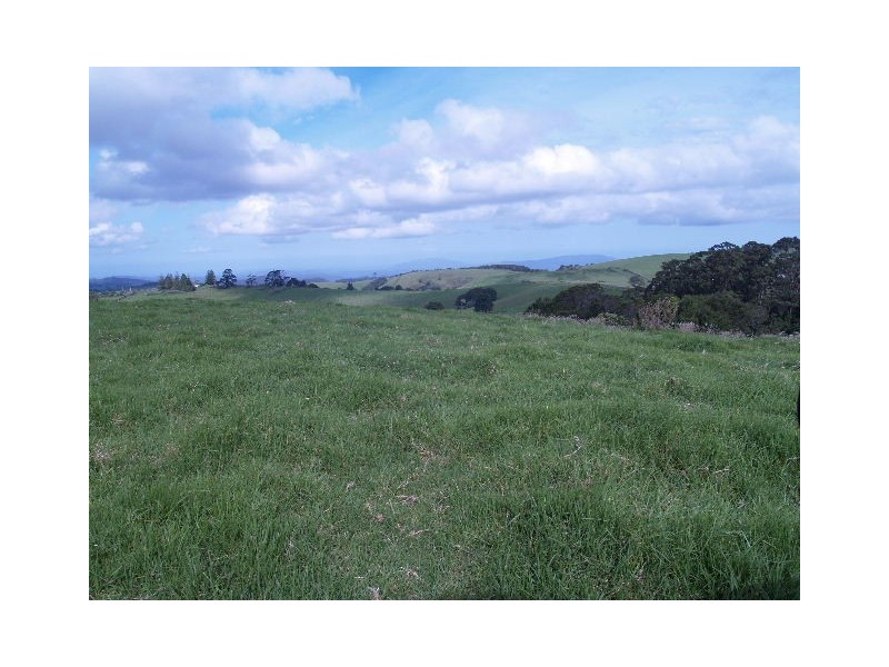 Lot 493 Latimores Road, Comboyne NSW 2429