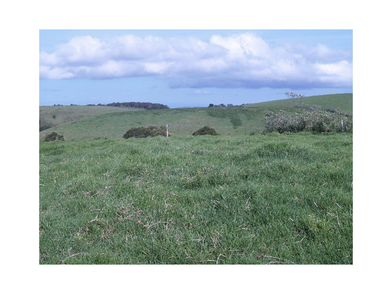 Lot 493 Latimores Road, Comboyne NSW 2429