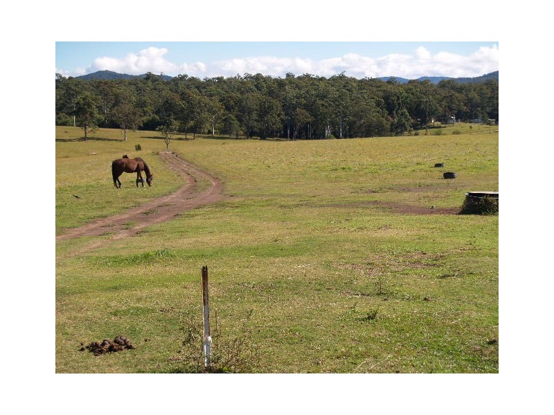 Lot 3 Neville Road, Beechwood NSW 2446