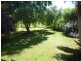 680 Beechwood Road, Beechwood NSW 2446