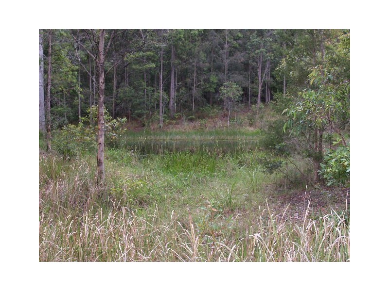 445 Hyndmans Creek Road, Byabarra NSW 2446