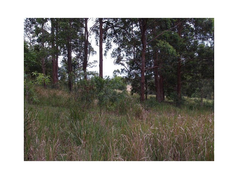 445 Hyndmans Creek Road, Byabarra NSW 2446