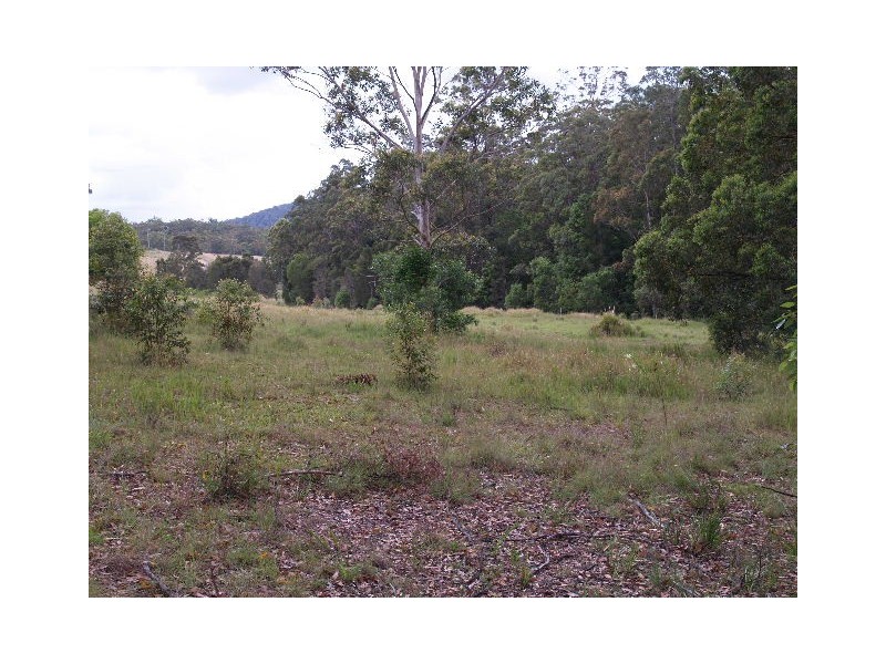 445 Hyndmans Creek Road, Byabarra NSW 2446