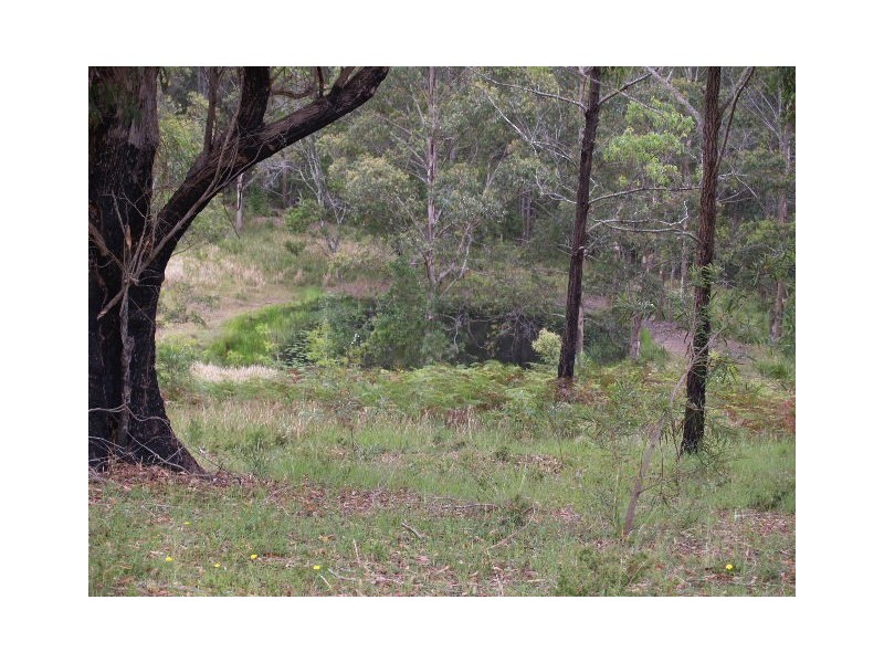 445 Hyndmans Creek Road, Byabarra NSW 2446