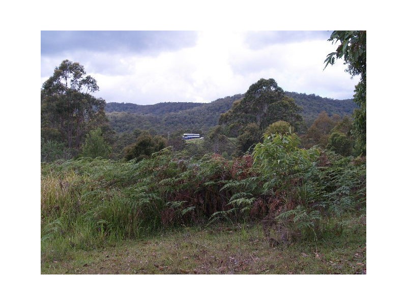 445 Hyndmans Creek Road, Byabarra NSW 2446