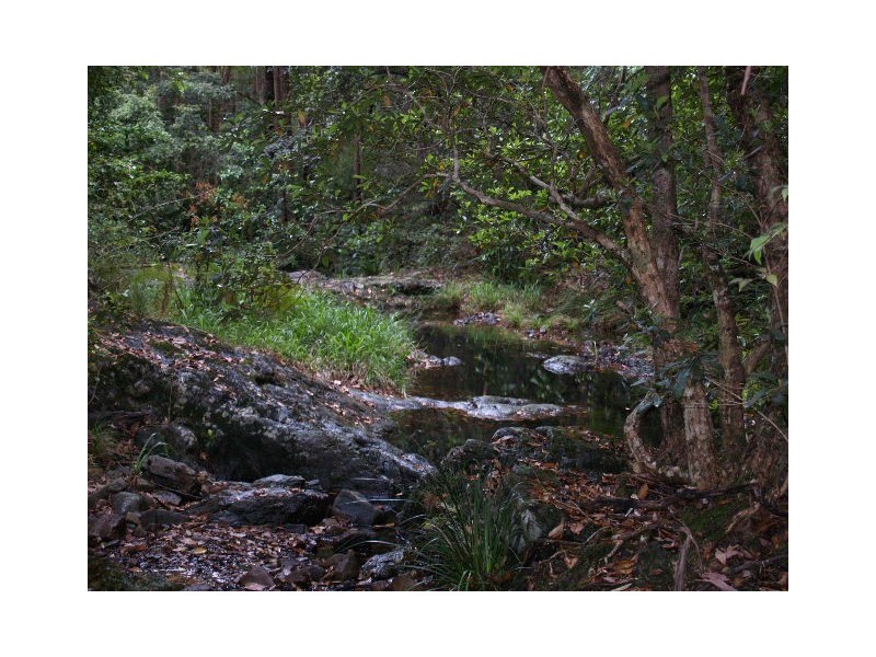 445 Hyndmans Creek Road, Byabarra NSW 2446