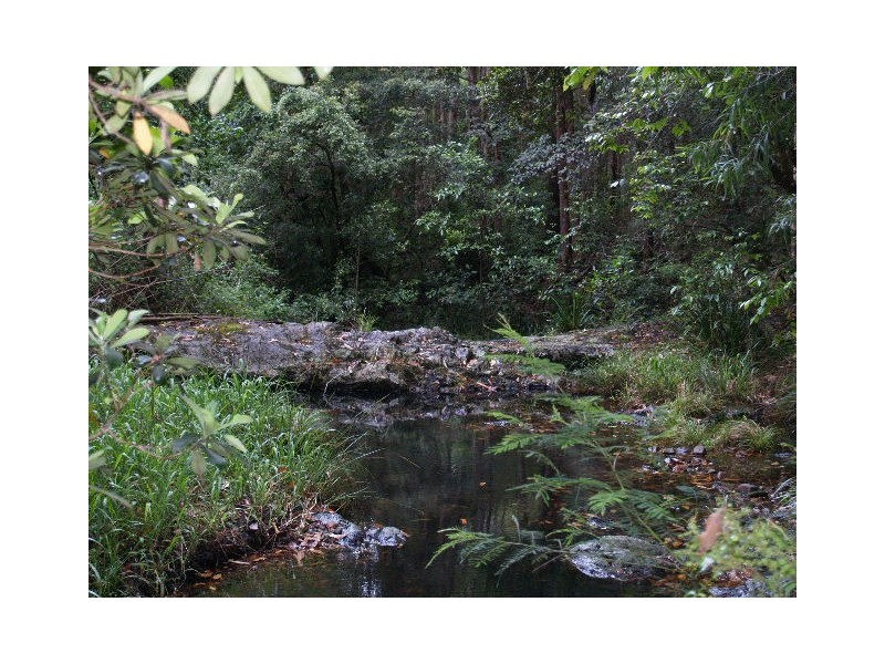 445 Hyndmans Creek Road, Byabarra NSW 2446