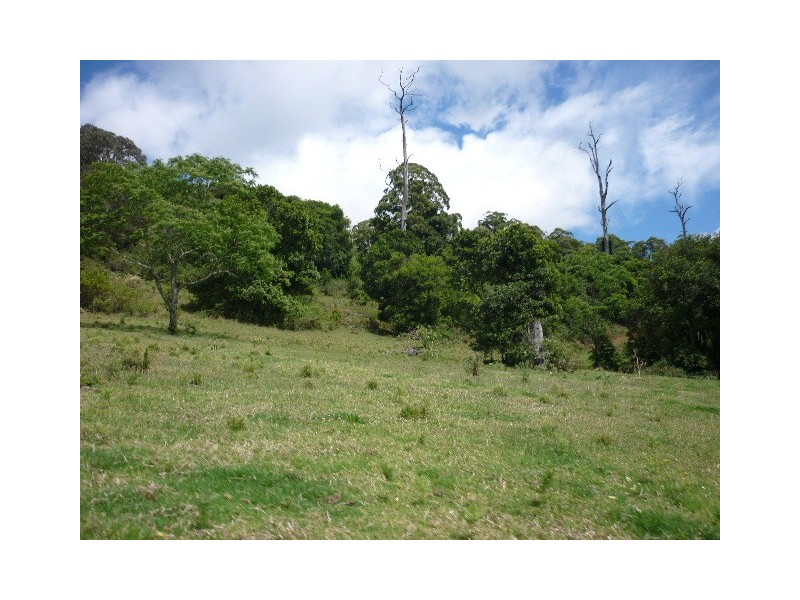 6/754416 Parsons Road, Comboyne NSW 2429