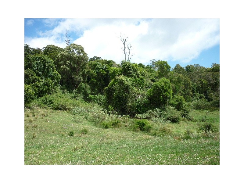 6/754416 Parsons Road, Comboyne NSW 2429