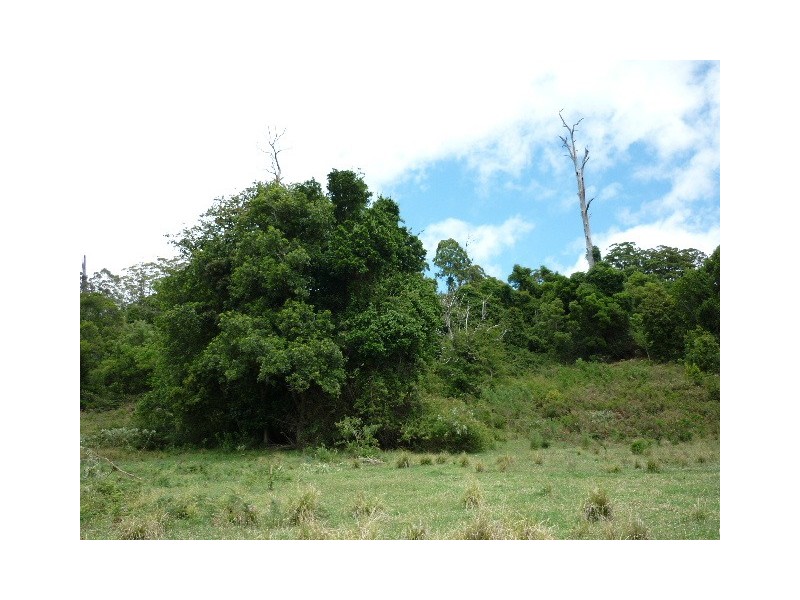 6/754416 Parsons Road, Comboyne NSW 2429