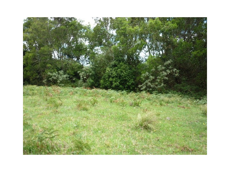 6/754416 Parsons Road, Comboyne NSW 2429