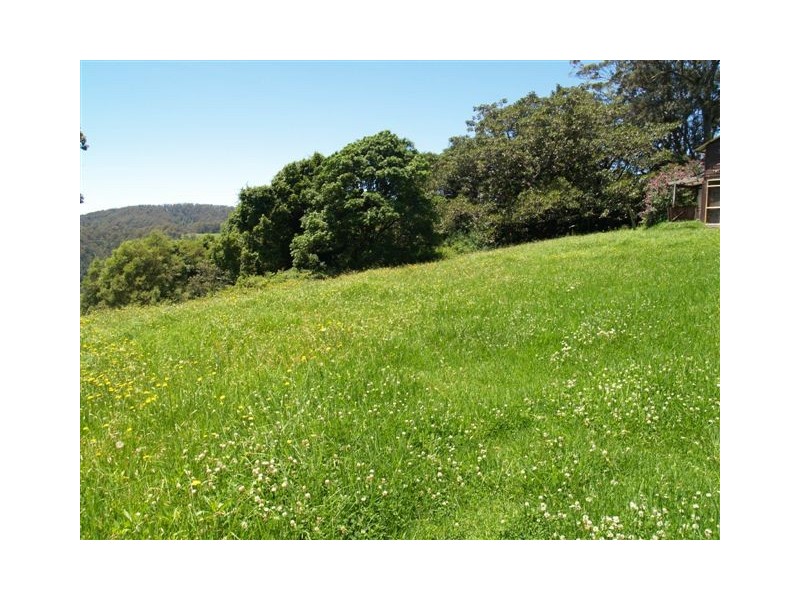 6/754416 Parsons Road, Comboyne NSW 2429